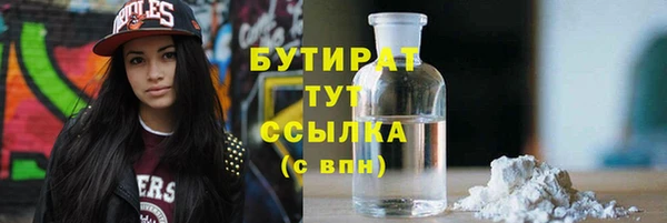 гашик Гусь-Хрустальный
