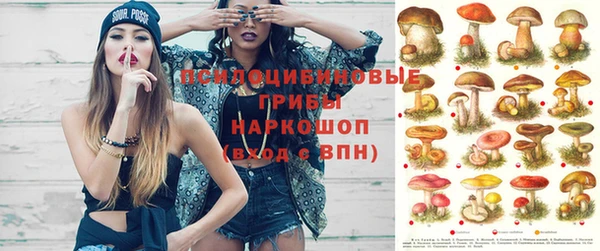 гашик Гусь-Хрустальный