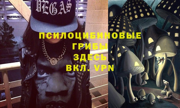 мдпв Новодвинск