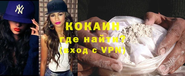 амф Новозыбков