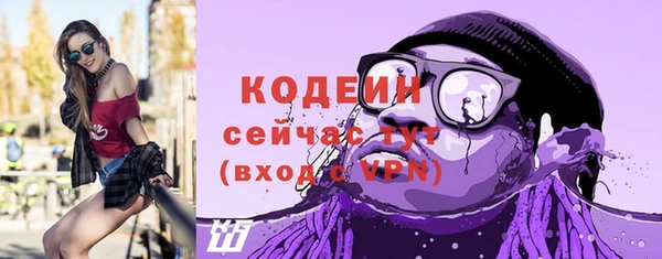 гашик Гусь-Хрустальный