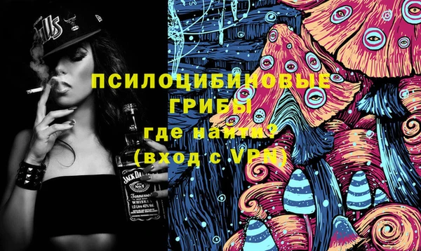 молекула духа Гусиноозёрск