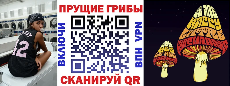 Галлюциногенные грибы прущие грибы  МЕГА   Гусев 