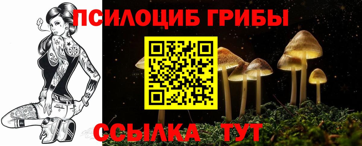 Галлюциногенные грибы мухоморы Гусев