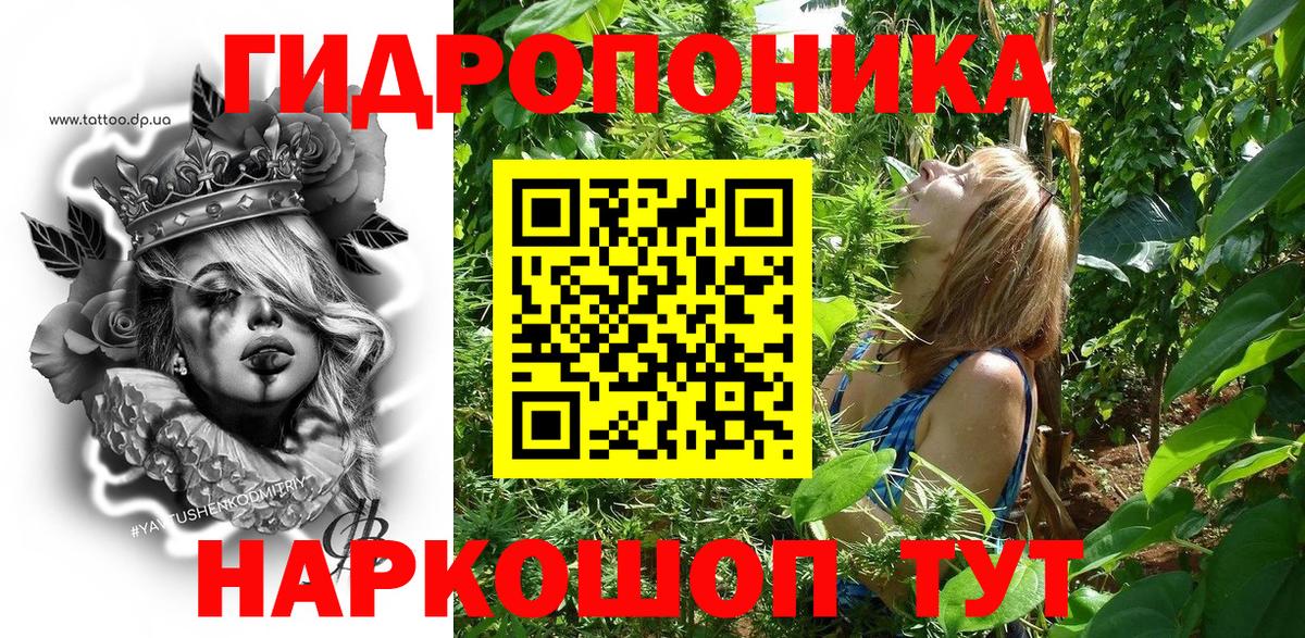 Марихуана семена  Каннабис сатива  Гусев  Вход с VPN 